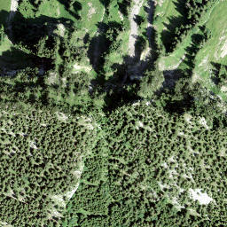 Satellite imagery of Fridlispitz, CH