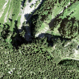 Satellite imagery of Fridlispitz, CH
