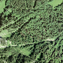 Satellite imagery of Fridlispitz, CH
