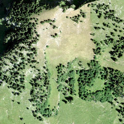 Satellite imagery of Gross Aubrig, CH