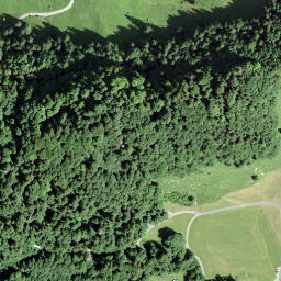 Satellite imagery of Kalvarienberg, CH