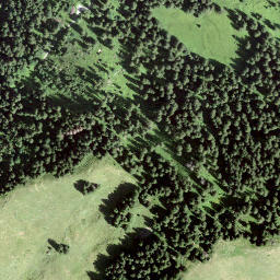 Satellite imagery of Brüschstockbügel, CH