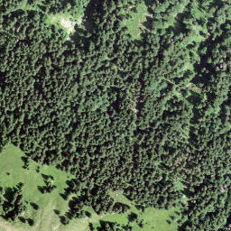 Satellite imagery of Brüschstockbügel, CH