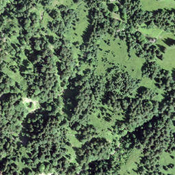 Satellite imagery of Schwarzenegghöchi, CH