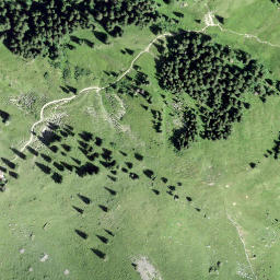 Satellite imagery of Scheidegg, CH