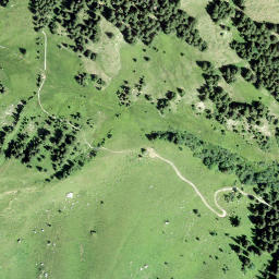 Satellite imagery of Scheidegg, CH