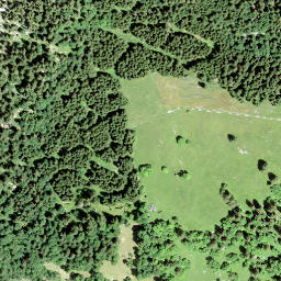 Satellite imagery of Fridlispitz, CH