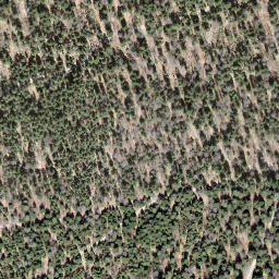 Satellite imagery of borNE-BE.21, CH