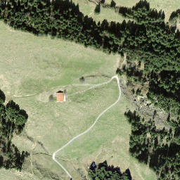 Satellite imagery of Ruchegg, CH