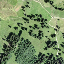 Satellite imagery of Bärensoolspitz, CH