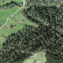 Satellite imagery of Morgartenberg, CH