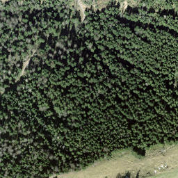 Satellite imagery of Schoshöchi, CH