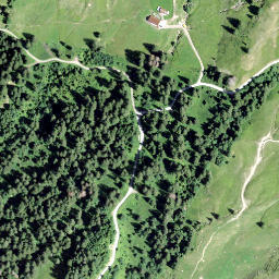 Satellite imagery of Schwarzenegghöchi, CH