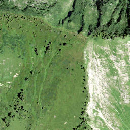 Satellite imagery of Tierberg, CH