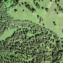 Satellite imagery of Guligrind, CH