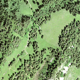 Satellite imagery of Guligrind, CH