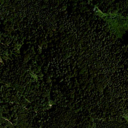 Satellite imagery of Frauenkogel, AT