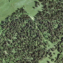 Satellite imagery of Pouillerel, CH