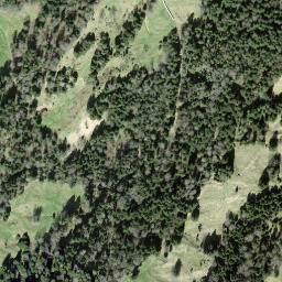 Satellite imagery of Morgartenberg, CH
