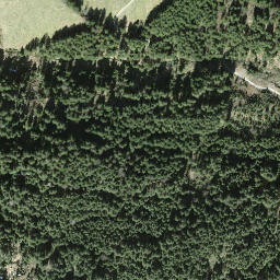 Satellite imagery of Ronenegg, CH