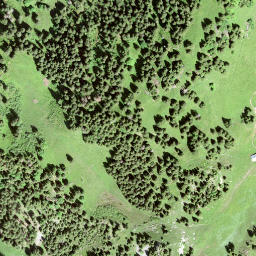 Satellite imagery of Guligrind, CH