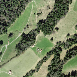 Satellite imagery of Morgartenberg, CH