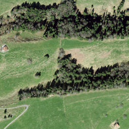 Satellite imagery of Sattel, CH