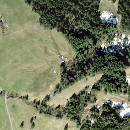 Satellite imagery of Nüsellstock, CH