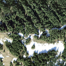 Satellite imagery of Nüsellstock, CH