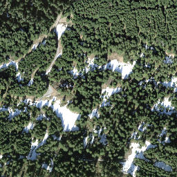 Satellite imagery of Ronenegg, CH