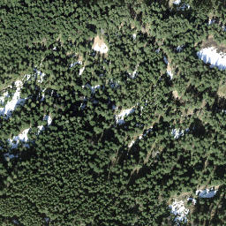 Satellite imagery of Ronenegg, CH