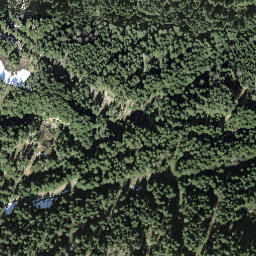 Satellite imagery of Ronenegg, CH