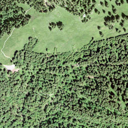 Satellite imagery of Guligrind, CH