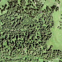 Satellite imagery of Guligrind, CH