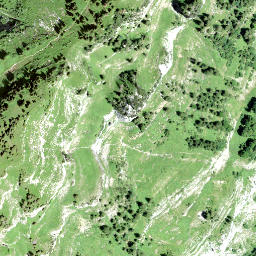 Satellite imagery of Nüenchamm, CH
