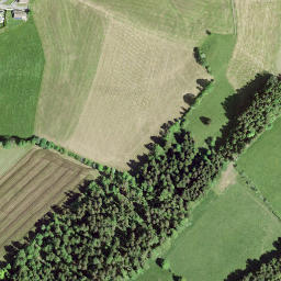 Satellite imagery of Mont Sagne, CH
