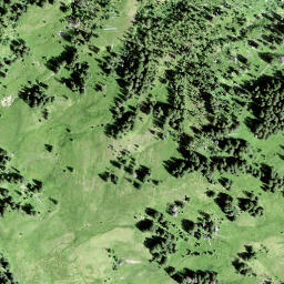 Satellite imagery of Rosenhöchi, CH