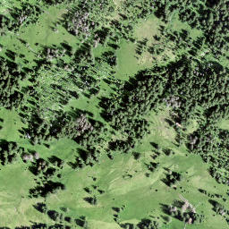 Satellite imagery of Rosenhöchi, CH