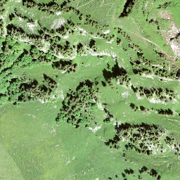 Satellite imagery of Nüenchamm, CH