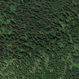 Satellite imagery of Bonanza Gulch Mine, US