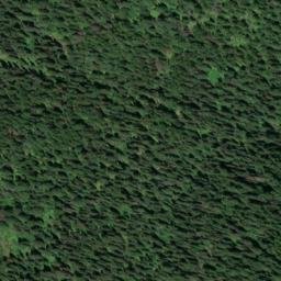Satellite imagery of Bonanza Gulch Mine, US