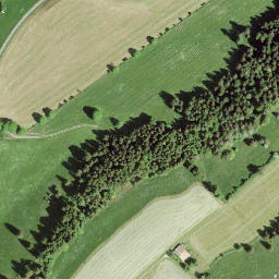 Satellite imagery of Mont Sagne, CH