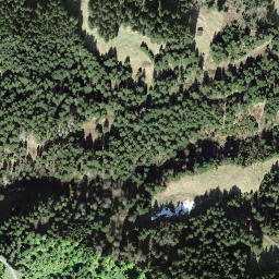 Satellite imagery of Gribschegg, CH