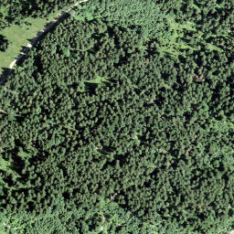 Satellite imagery of Grosser Mutzenstein, CH