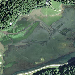 Satellite imagery of Grapplihorn, CH