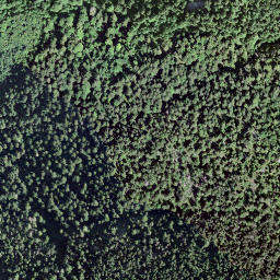 Satellite imagery of Bärenstichkopf, CH