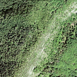 Satellite imagery of Bärenstichkopf, CH