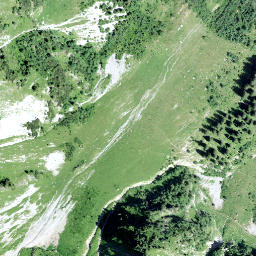 Satellite imagery of Wisstschingel, CH