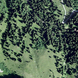Satellite imagery of Wisstschingel, CH