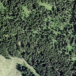 Satellite imagery of Gross Güslen, CH